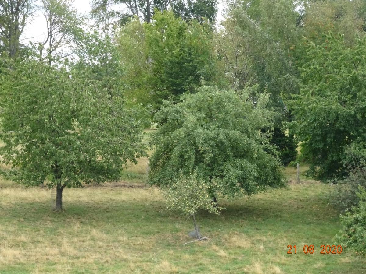 نيدغن Ferienwohnung Lohrer المظهر الخارجي الصورة